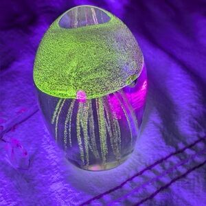 Clear Glass Pink glowy Jellyfish Paperweight Small 3"